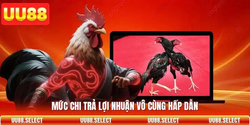 Mức chi trả lợi nhuận vô cùng hấp dẫn