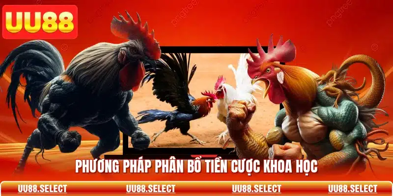 Phương pháp phân bổ tiền cược khoa học
